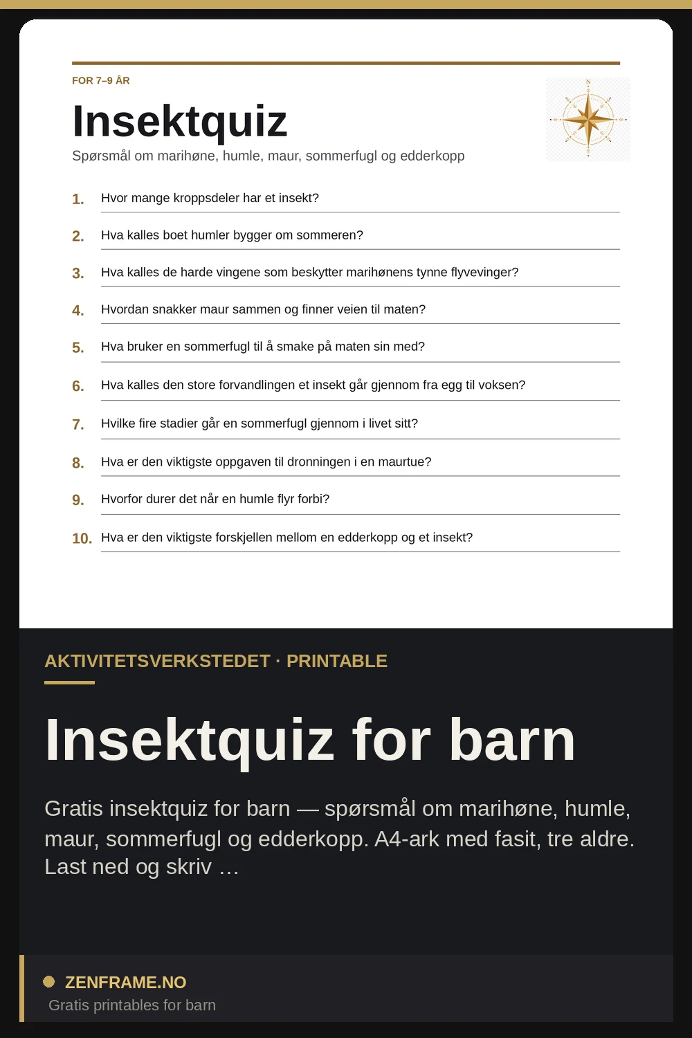 Insektsquiz för barn — Zenframe
